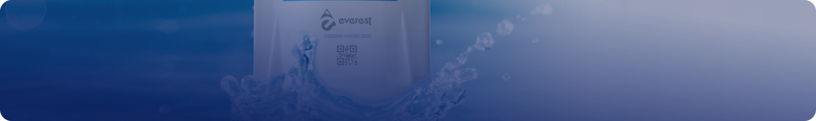 bg-everest